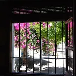 El Rincon De Elena * Jerez de la Frontera